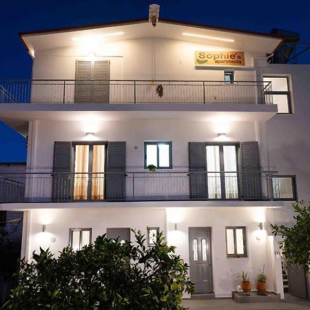 Sophie'S Apartments 3&4 Poros Town المظهر الخارجي الصورة